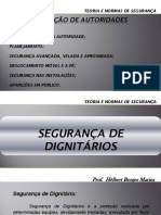 Proteção de Autoridades PDF