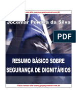 Resumo Basico de Seguranca de Dignitarios PDF