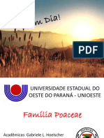 Família Poaceae