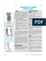 Ir-038 Examination of Common Peroneal Nerve