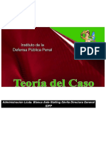 15 PENAL Teoria Del Caso Idpp