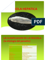 Clase 15-Fasciola Hepatica