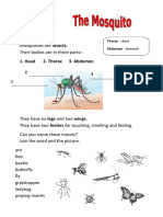 Head 2. Thorax 3. Abdomen