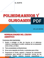 POLIHIDROAMNIOS