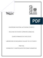 Proteinas Plasmaticas