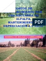 Costos de Produccion de Alfalfa