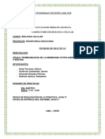 Informe Final