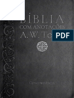 Biblia Tozer PDF