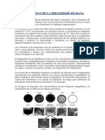 Diagnóstico de La Hidatidosis Humana