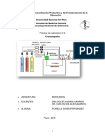 Practica de Laboratorio 3 - Cromatografía