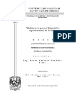 Metodologia para El Diagnostico Organizacional