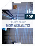 BIG DATA & Visual Analytics: Professional Program in