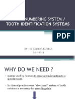 Tooth Numbering System