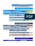 TSQ Loan For 12 Months: Rational Income & Expense Calculator