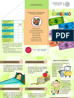 Triptico El Consumo