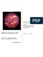 Etapas de Desarrollo Fetal