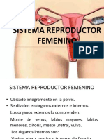 Sistemareproductorfemenino 111023220615 Phpapp02