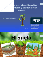 Desertización, Desertificación, Deforestación y Erosión de Los Suelos PDF