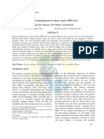 Induced Mutagenesis in Wheat Variety PBW-154