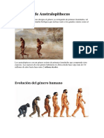 Definición de Australopithecus