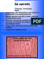 Trichuris and Trichinella