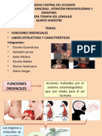 Funciones Orofaciales y Labios Caract y Func