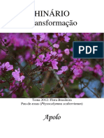 Apolo - Transformacao PDF