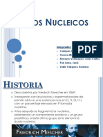 Ácidos Nucleicos Expo