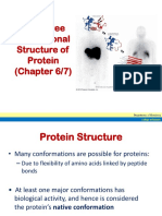 3 Proteins