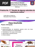 Práctica de Aracnidos 2