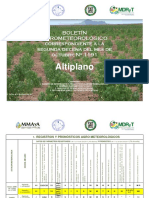 Boletín Agrometeorológico Del Altiplano Correspondiente A La Segunda Decena Del Mes de Octubre #1191