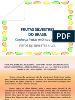 Frutas Silvestres Do Brasil