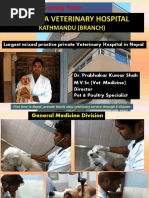 Jibachha Veterinary Hospital Kathmandu, Branch