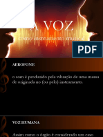 A Voz Como Instrumento Musical - Seminário