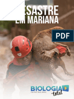 Desastre Mariana