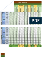 Matriz Leopold Proyecto