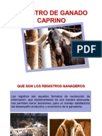 Registro de Ganado Caprino