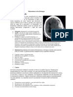 Hematomas en Las Meninges