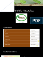 Estudio de La Naturaleza 