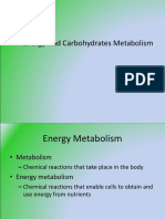 Carbohydrates Metabolism