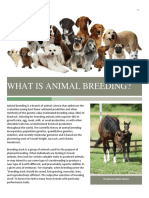 What Is Animal Breeding