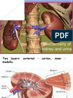 Biochemistry of Kidney and Urine