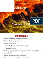 Bacterial Cell Presentation2