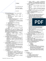 Outline of Anatomy and Physiology (Semifinal-Final)