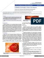 True Duplicate Bladder Exstrophy: A Rare Case Report: Archives of Case Reports in Clinical Medicine