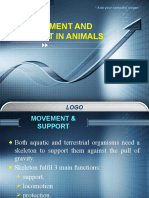 Movement and Support in Animals