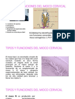 Tipos y Funciones Del Moco Cervical