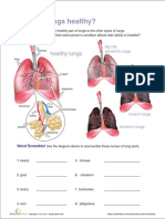 Are Your Lungs Healthy