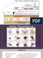 Historia Natural Del Paludismo