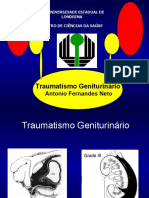 Traumatismo Geniturinário